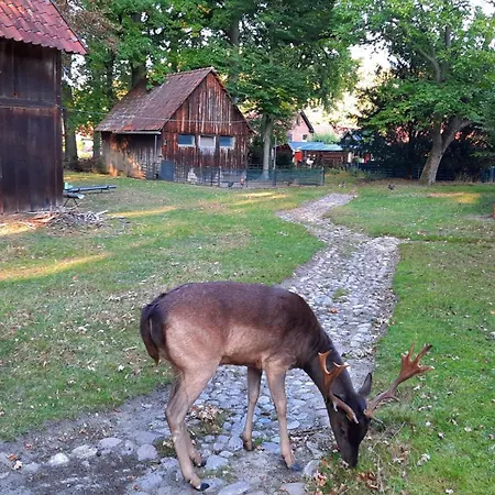 Am Wildgehege Bei Walsrode
