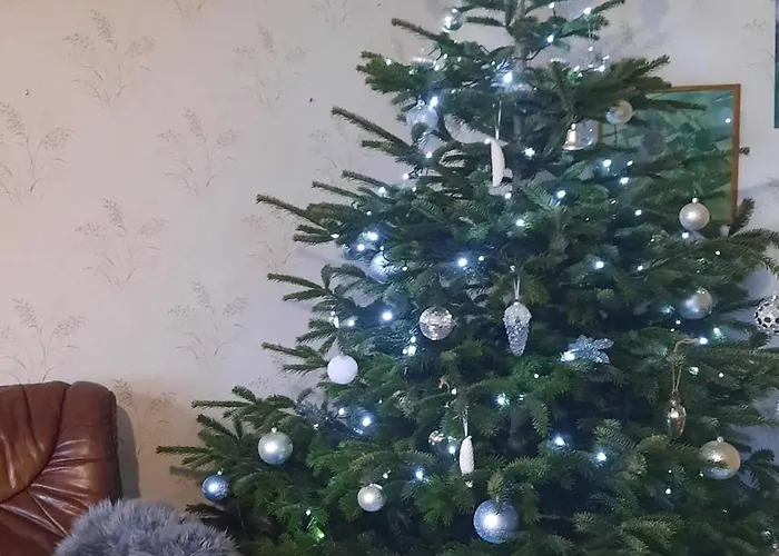 Am Wildgehege Bei Walsrode